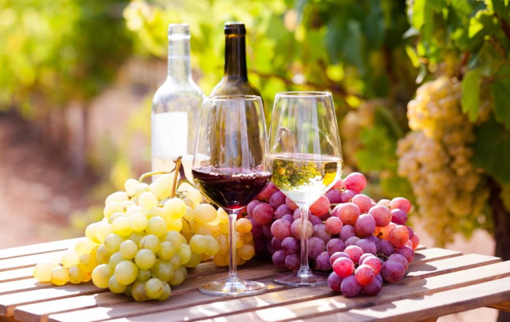 vinification