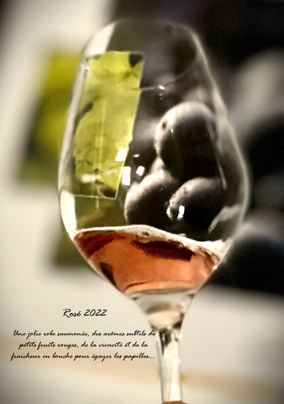 rose-2022-affiche-4-1676296613