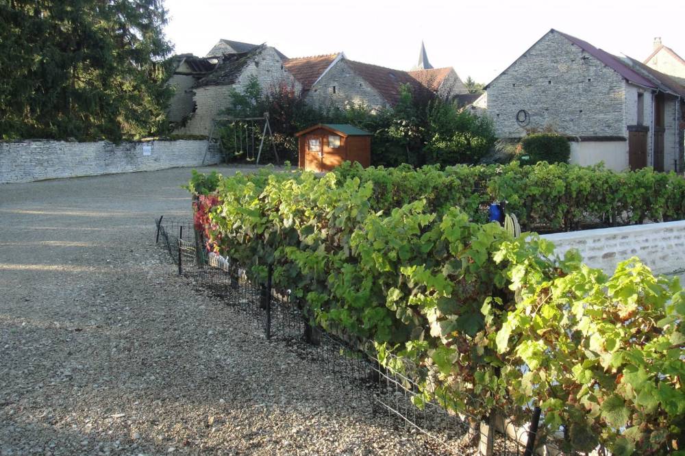 domaine-1514974233